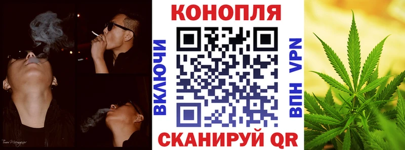 Бошки Шишки индика  omg ONION  Новосиль  где продают наркотики 
